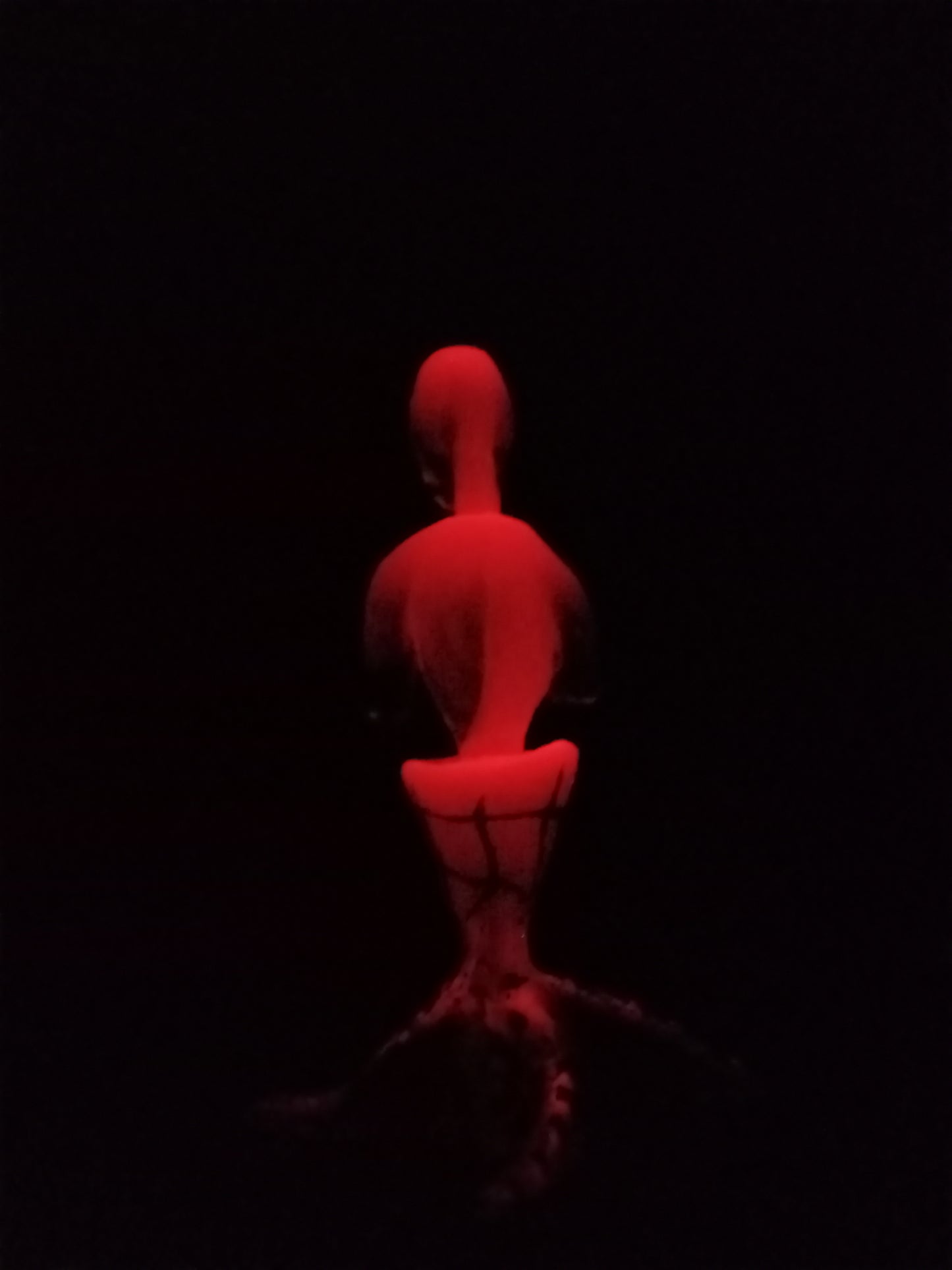 Quadrapuss EBE - Glow In The Dark Pink