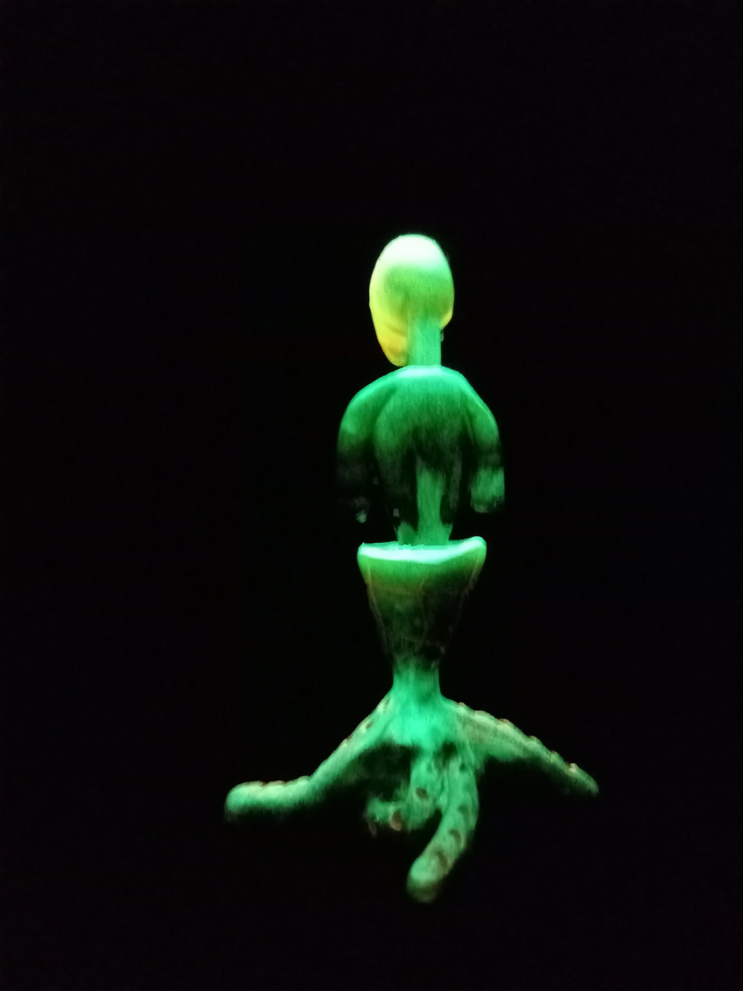 Quadrapuss EBE - Glow In The Dark Green